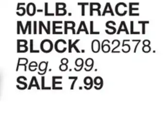 Blain's Farm & Fleet 50-LB. TRACE MINERAL SALT BLOCK offer