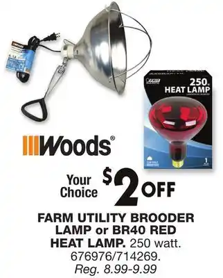 Blain's Farm & Fleet FARM UTILITY BROODER LAMP or BR40 RED HEAT LAMP offer