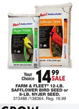 Blain's Farm & Fleet FARM & FLEET 12-LB SAFFLOWER BIRD SEED or 8-LB. NYJER SEED offer