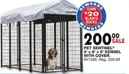 Blain's Farm & Fleet PET SENTINEL 4' x 8' x 6' KENNEL WITH COVER offer