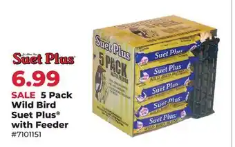 Runnings 5 Pack Wild Bird Suet Plus with Feeder offer