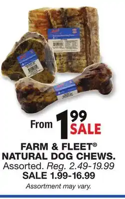 Blain's Farm & Fleet FARM & FLEET NATURAL DOG CHEWS offer