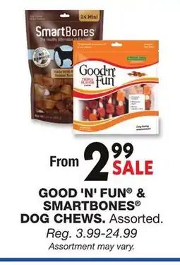 Blain's Farm & Fleet GOOD 'N' FUN & SMARTBONES DOG CHEWS offer