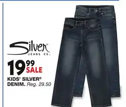 Blain's Farm & Fleet KIDS' SILVER DENIM offer