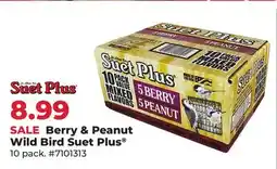 Runnings Berry & Peanut Wild Bird Suet Plus offer