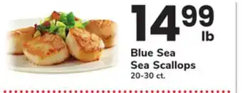 ACME Blue Sea Sea Scallops offer