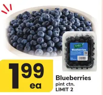 ACME Blueberries offer