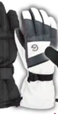 Big 5 Gordini Ultra Drimax Zipper Kids' Gauntlet Ski Gloves offer