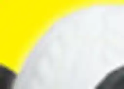 Big 5 Heat Holders Women's Alesund Beanie offer