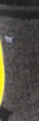 Big 5 Heat Holders Block Twist Socks offer