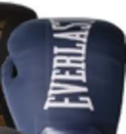 Big 5 Everlast Elite 2 Boxing Gloves 16 oz offer