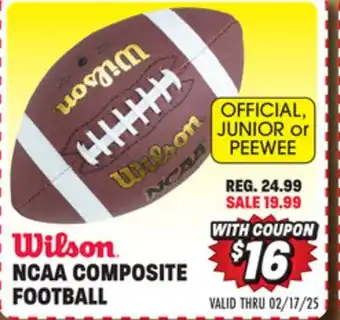 Big 5 Wilson NCAA Composite Official Football offer