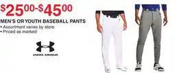 Dunham's Sports MEN'S OR YOUTH BASEBALL PANTS offer