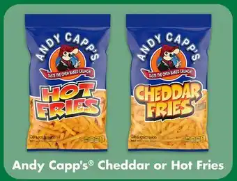 Dollar Tree Andy Capp's Cheddar or Hot Fries offer