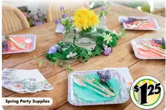 Dollar Tree Spring Party Supplies offer