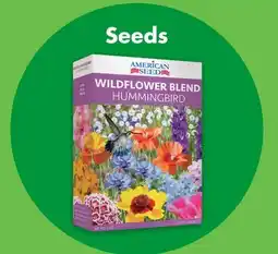 Dollar Tree Seeds offer