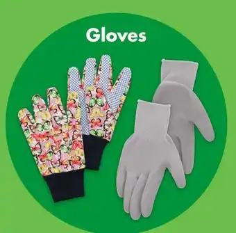 Dollar Tree Gloves offer