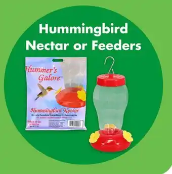 Dollar Tree Hummingbird Nectar or Feeders offer