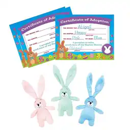 Walmart Fun Express 24 Pieces Easter Bunny Adoption Kit for 12 offer