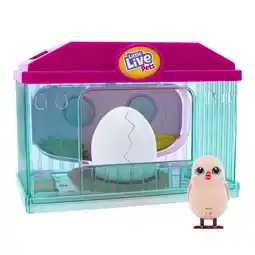 Walmart Little Live Pets, Surprise Chick Blue Hatching House with Chick, Styles and Colors May Vary, Ages 5+ offer