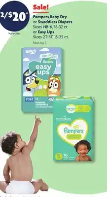 Family Dollar Pampers Baby Dry or Swaddlers Diapers Sizes NB-6, 16-32 ct. or Easy Ups Sizes 2T-5T, 15-25 ct offer