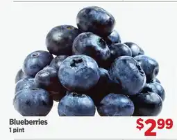 Gordon Food Services Blueberries offer