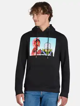 Walmart Powerpuff Girls Men's and Big Men’s Villains Graphic Hoodie, Sizes S-3XL offer