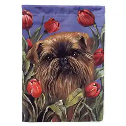 Walmart Carolines Treasures PPP3041GF Brussels Griffon Peek a Boo Flag Garden Size Small multicolor offer