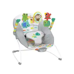 Walmart Bright Starts Playful Paradise Vibrating Baby Bouncer, Unisex, Newborn + offer