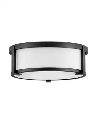 Walmart Hinkley Lighting - Two Light Flush Mount - Foyer - Lowell - 2 Light Medium Flush offer