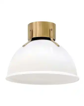 Walmart Hinkley Lighting - Argo - 1 Light Small Flush Mount In Industrial and offer