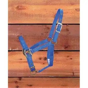 Walmart Hamilton Halter Company - Adjustable Chin Halter- Blue Foal - 3DA FLBL offer