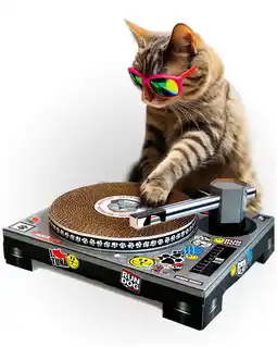 Walmart Suck UK | DJ Decks Cat Scratcher | Cardboard Cat Scratching Posts | Cat Accessories offer