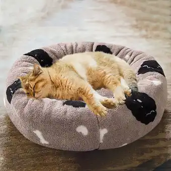 Walmart TNDBKQWR Plush Dog Beds for Winter Clearance Washable Cat Bed Pet Sofa Bed Warm Pet Couch Bed offer