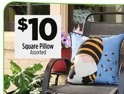 Dollar General Square Pillow offer