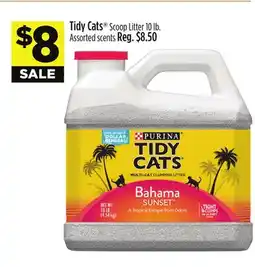 Dollar General Tidy Cats Scoop Litter offer