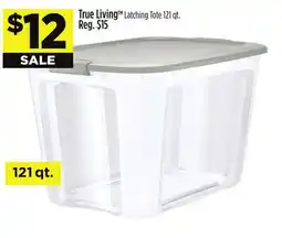 Dollar General True Living TM Latching Tote offer