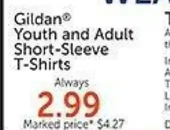 Hobby Lobby Gildan Youth and Adult Short-Sleeve T-Shirt offer