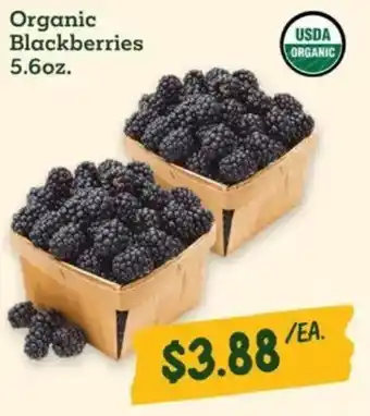 Sprouts Farmers Market Organic Blackberries offer