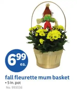 Lidl fall fleurette mum basket offer