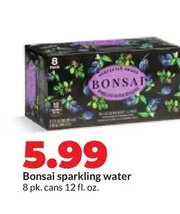 Hy-Vee Bonsai sparkling water offer