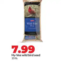 Hy-Vee Hy-Vee wild bird seed offer