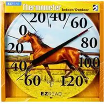 Walmart Headwind Consumer Ezread Dial Thermometer Horse offer