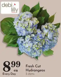 Pavilions Fresh Cut Hydrangeas offer