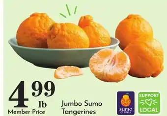 Pavilions Jumbo Sumo Tangerines offer