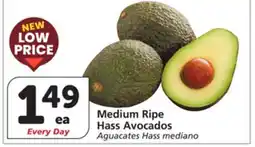 Vons Medium Ripe Hass Avocados offer