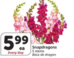 Vons Snapdragons offer