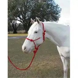 Walmart Hamilton Halter Company - Rope Halter With Lead Adult Horse- Red Average - RHL AVRD offer