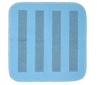 Walmart Platinum Care Pads Heavyweight Chair Pad/Underpad Washable With Anti-Slip Backing Size - 17X24 Blue offer