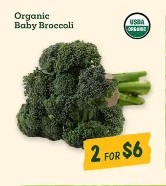 Sprouts Farmers Market Organic Baby Broccoli offer